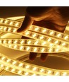 Lagertömning: 5 m. vattentät LED strip (Type Y) - 230V, IP67, 120 LED, 10W/m