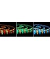 5m 12W/m RGB+WW LED-strip - 12V, IP65, 60 LED per meter
