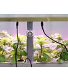LEDlife hydroponisk köksträdgård - Vit eller svart inkl. växtljus, 12 platser, timer, 4L vattentank