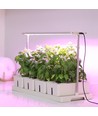 LEDlife hydroponisk växtbricka - Vit, inkl. växtljus, 20 platser, 4x2L vattentank