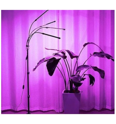 LEDlife växtljus med stativ - Svart, 4 lampor, justerbar höjd, flexibel arm