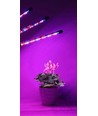 LEDlife växtljus med stativ - Svart, 4 lampor, justerbar höjd, flexibel arm