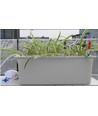 LEDlife hydroponisk växtlåda - Grå, 12 platser, med luftpump, 10L