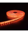 5m 10W/m Orange LED-strip - 24V DC, IP65, 120 LED per meter