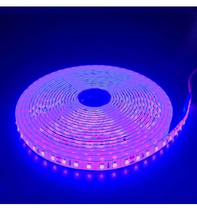 5m 10W/m Lila LED-strip - 24V DC, IP65, 120 LED per meter