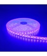 5m 10W/m Lila LED-strip - 24V DC, IP65, 120 LED per meter