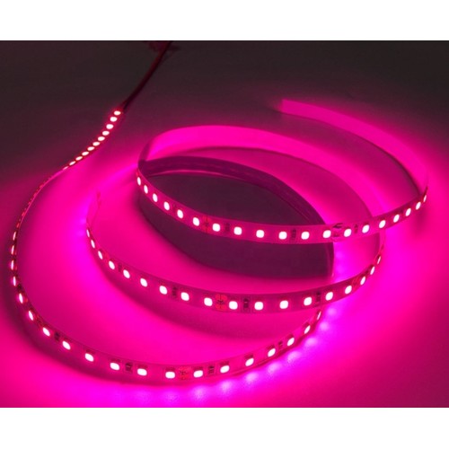 När infraröd 730 nm 4,8W/m 12V LED strip - 5m, IP20, 60 LED per. meter