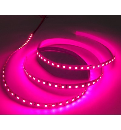 När infraröd 730 nm 4,8W/m 12V LED strip - 5m, IP20, 60 LED per. meter