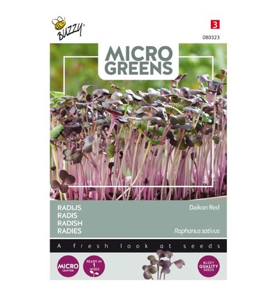 Mikrogreens, rädisa daikon röd