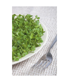 Mikrogreens, Japanska Greens Tatsoi
