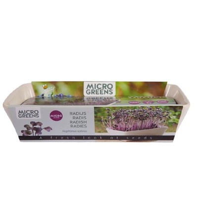 Outlet: Microgreens starterkit - Röd Daikon Röd