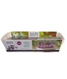 Outlet: Microgreens starterkit - Röd Daikon Röd