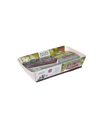 Outlet: Microgreens starterkit - Röd Daikon Röd