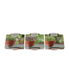 Microgreens starterkit - Japask grön Tatsoi