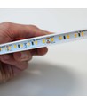 10m 12W/m LumiLED RA92 - 24V DC, IP20, 120 LED per meter