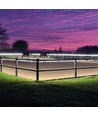 5 m vattentät Ridbana strip (Typ X-2) - 230V, IP67, 1300lm/m, 10W/m, kan klippas var 10cm