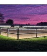 50m Ridbana 230V strip - IP65, 120 LED/m, 10W/m, 1000 lm/m
