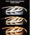 5m 10W/m CCT COB-LED strip RA97 - 24V DC, IP20, 512 LED per meter
