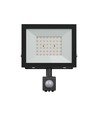 Noctis Lux strålkastare 50W - kallvitt, 230V, IP44, 176x221x53mm, svart, PIR-sensor