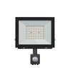 Noctis Lux 4 strålkastare 50W - varmvit, 230V, IP44, 176x221x53mm, svart, PIR-sensor