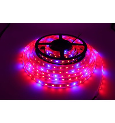 8,5W/m stänktät växt LED-remsa - 5m, 60 LED per meter, 24V DC, IP65
