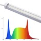 LEDlife Max-Grow 2.0 15W växtarmatur - 60cm, 15W LED, fullt spektrum (Vitt ljus), IP65