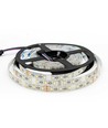 12W/m RGB+WW LED strip - 5 meter, IP65, 60 LED per. meter, 24V