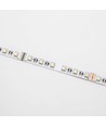 5 meter 12W/m RGB+WW LED-strip - 24V DC, IP20, 60 LED per meter