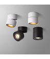 Dimbar LED takspot RA98 - 10W, vit, justerbar, för utanpåliggande montage