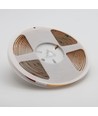 5m 6,5W/m 3000K RA95 Dot-free COB-LED strip - IP20, 320 LED per meter, 24V, COB LED