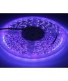 5m 10W/m UV 400 nm LED-strip - 24V DC, IP20, 120 LED per meter