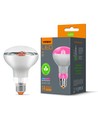R80 LED växtbelysning 9W E27 - Fito, 230V