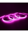 5m 9W/m Rosa Dot-free COB-LED-strip - 24V DC, IP20, 240 LED/m, 5 års garanti