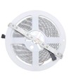 5 meter 12W/m RGB+WW LED-strip - 24V DC, IP65, 60 LED per meter