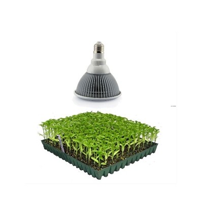 LED 12W växtarmatur, E27, Grow lamp