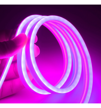 5m 8W per meter Lila 8x16 Neon Flex LED - 12V DC, IP67