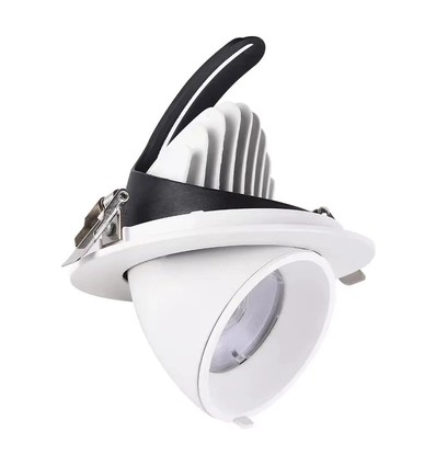 30W Ø16,5cm Downlight - Hål: Ø15 cm, Mått: Ø16,5 cm, 4100lm, Justerbar vinkel