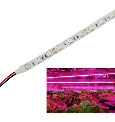 9,6W/m stänksäker växt LED strip - 5m, 60 LED per. meter, IP65