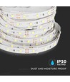 5m 4,2W/m LED-strip - 12V DC, 60 LED per meter